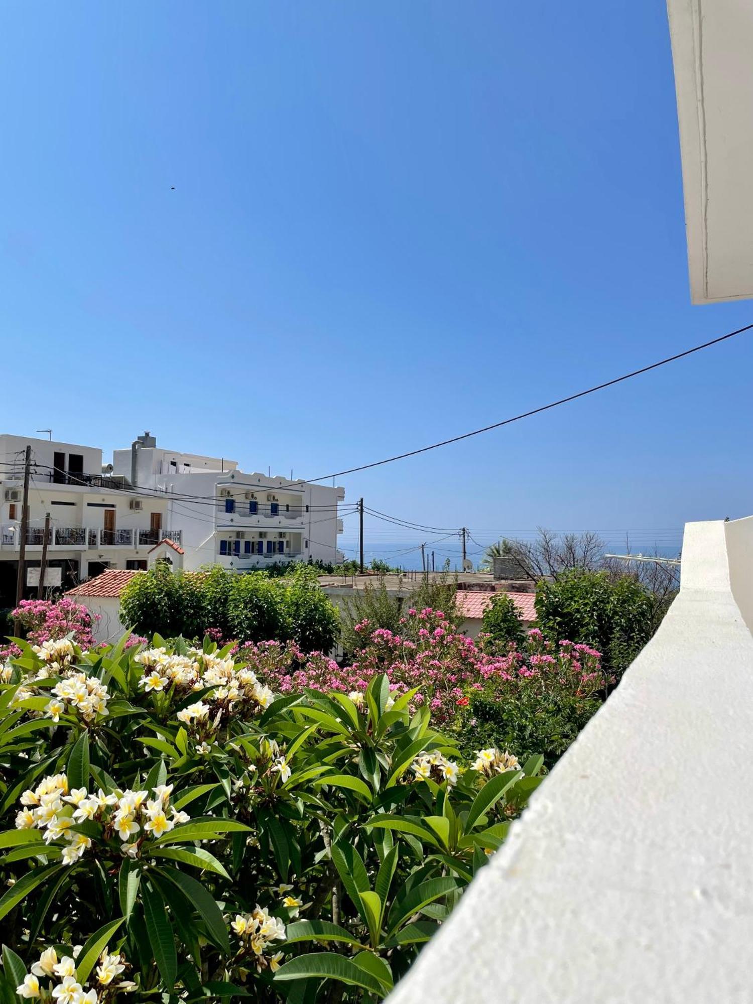 Panorama Rooms Agia Roumeli Dış mekan fotoğraf